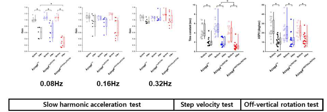 Kcnq4W276S/W276S 마우스에서 과중력 가속도 자극 후 평형기능의 감소. 전정안반사를 검사하는 세 가지 항목에서 모든 parameter가 wild type에 비해 유의하게 감소함