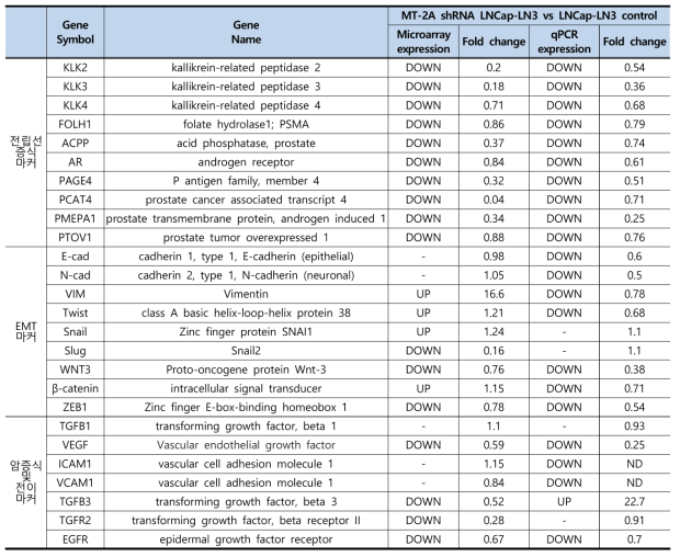 MT-2A knockdown LNCap-LN3의 유전자 microarray 및 real-time PCR