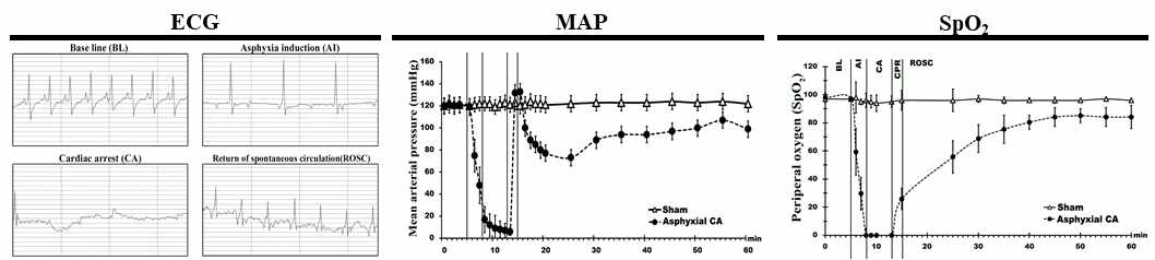 심정지 동물모델의 vital sign (ECG, MAP, SpO2)