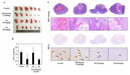 Effects of CE on RC-58T/h/SA#4 prostate cancer cells in xenograft nude mouse model. (A) growth inhibition, (B) tumor weight, (C) H&E staining