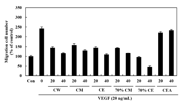 Effect of Cultivated Orostachy Japonicus extracts on VEGF-induced chemotactic motility in HUVEC. HUVEC was scratched by a pipette and treated with or without 20 ng/mL of VEGF and 20-40 μg/mL of Cultivated Orostachy Japonicus extracts. After incubation for 12 h, migrated cells were quantified by cell counting