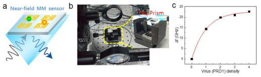 (a) THz 근접장센서 개념도 (b) 프리즘 센서 사진 (c) 프리즘 메타센서의 바이러스 검출 결과