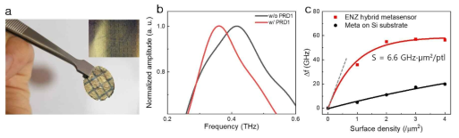 (a) ENZ 기판위에 제작한 메타하이브리드 센서 사진 (b) ENZ 센서를 이용한 PRD1 측정 (c) 실리콘 기판 메타센서와의 비교