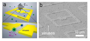 (a) 나노갭 메타물질 센서를 이용한 바이러스 검출 모식도 (b) 제작된 나노갭 메타물질 센서의 SEM 사진