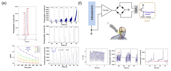 (a) 시냅틱 소자 개략도, (b) PIIG-Np 채널층의 자기조립 구조의 2D GIXD , (c, d, e) 시냅틱 소자의 구동, (f) 시냅틱 소자와 triboelectronic 소자를 활용한 인공 음파센서 개략도 및 구동