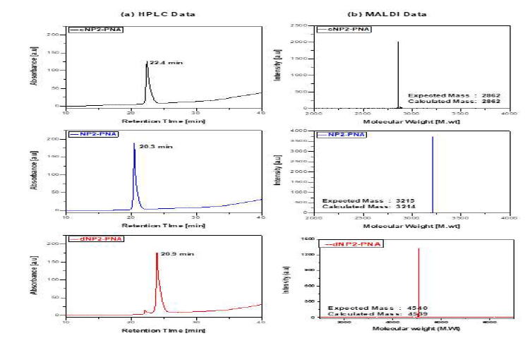 Synthesis and characterization of CPP-PNA conjugates, (a) Purification of CPP-PNA conjugates by HPLC, (b) Molecular mass characterization of CPP-PNA conjugates by MALDI