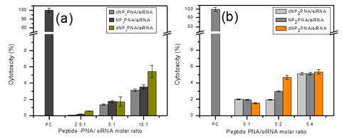 Cytotoxicity of three CPP-PNA siRNA complexes with changing concentration ratio of CPP-PNA conjugate and siRNA investigated in HEK 293 A cells with increasing the concentration of CPP-PNA conjugates (a). Increasing the concentration of siRNA (b)