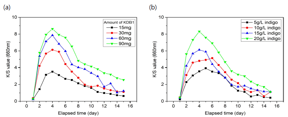 Changes of K/S value with (a) amount of KDB1 strain and (b) indigo concentration (45 ml volume, pH 10.7 Buffer solution, pH no control, 30℃)