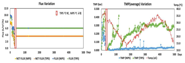 NIPS 및 TIPS 막의 Flux 및 TMP 변화