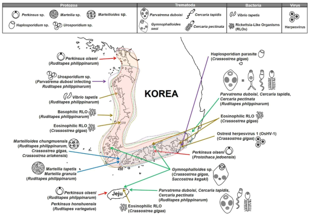 Distribution map of parasitic micro-organisms in the Korean waters