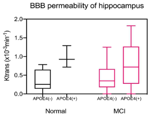 APOE4 변이와 MCI유무에 따른 BBB 투과도차이