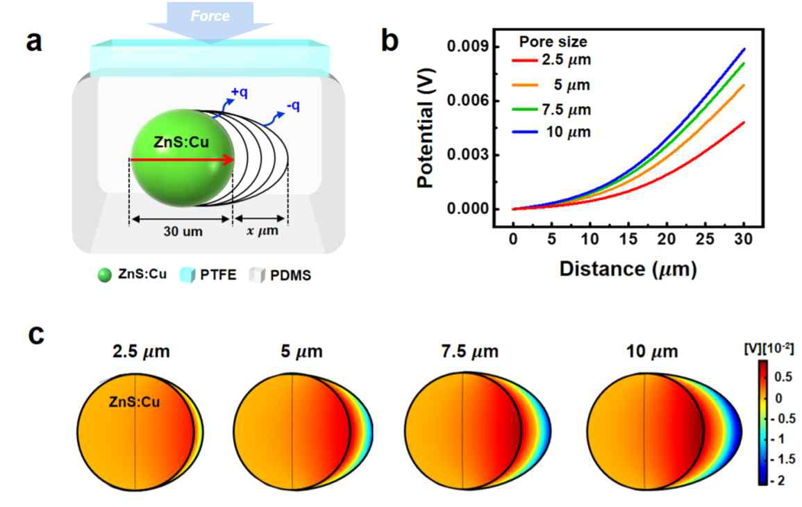 force에 의해 ZnS : Cu와 PDMS 사이에 형성된 pore의 개략도. COMSOL을 이용한 output potential 분포와 표면 potential