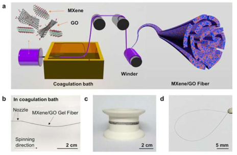 a. 본 연구결과에서 제시하는 MXene/그래핀 섬유의 제조과정 모식도. b. 응고욕에서 섬유형태로 자가조립을 한 MXene/산화그래핀 형태의 gel fiber 모습. c. MXene/산화그래핀 섬유가 bobbin 에 감겨 있는 모습. d. MXene/산화그래핀 섬유의 구부러짐 구현 결과