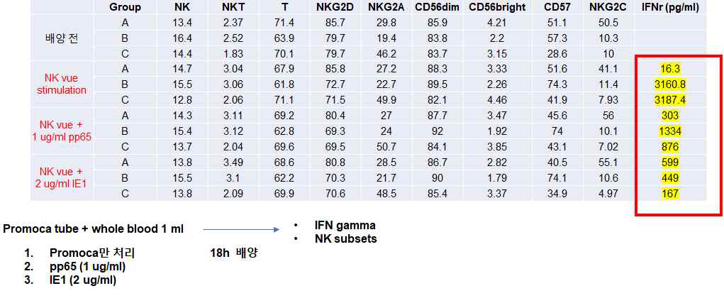 HCMV특이 NK-IFNgamma 분석