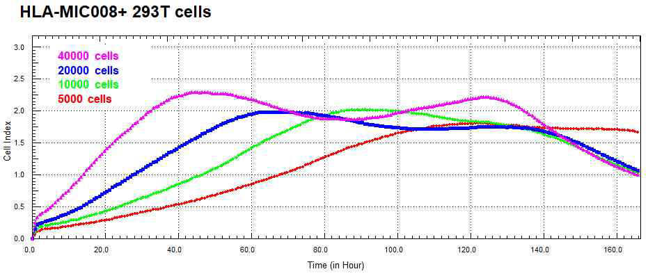 MICA008+HEK293T 세포 성장곡선