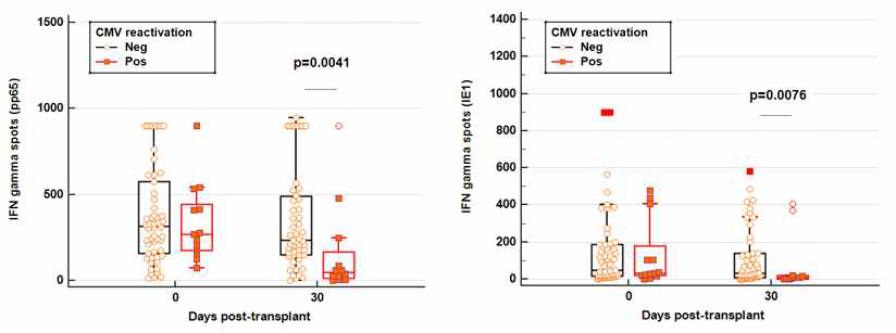 신장 이식 후 1 개월 환자에서 CMV reactivation 유무에 따른 pp65,IE1 ELISPOT