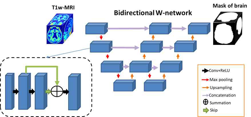 Bidirectional W-network architecture for skull stripping