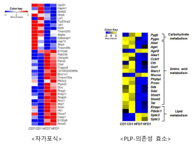 식이 내 지방 및 비타민 B6 함량에 따른 자가포식 및 아미노산대사 관련 유전자 발현