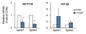 대장암세포주를 이용한 루테올린의 스핑고지질대사효소 SPHK1과 SPHK2 유전자 발현 조절 분석