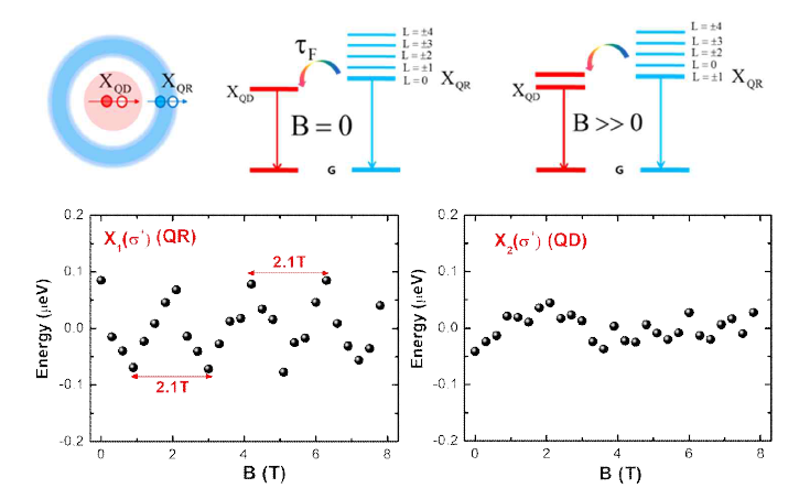 자기장의 증가에 따른 양자점과 양자링 엑시톤 에너지 준위 및 쌍극자 상호작용(위)과 자기장의 세기 변화에 따른 양자링과 양자점에서의 엑시톤 에너지 준위 변화(아래)