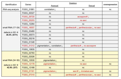 FgAGO2target 후보 유전자의 기능분석