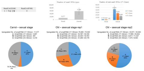 유성생식 단계(Carrot-sexual stage)와 무성생식 단계(CM-asexual stage-rep1, 2)에서 RIP-small RNA sequencing 결과. small RNA 종류와 총 개수, 크기별 비교 결과