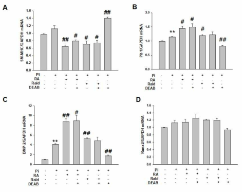 The gene expression of smooth muscle cell marker and osteoblast markers by retialdehyde and retinoic acid in Pi-treated A-10 cells. A-10 cells were treated with Pi (2 mM) + CaCl2 (2 mM), followed by incubation with or without Retinaldehyde (Rald), Rald + DEAB, Retinoic acid (RA) or RA+DEAB for 7 days. The expression of (A) SM22α gene and (B-D) Pit-1, BMP-2 and Runx2 genes were measured using real time PCR. **p < 0.01 compared with control cells; #p < 0.05 and ##p < 0.01 compared with Pi-treated cells