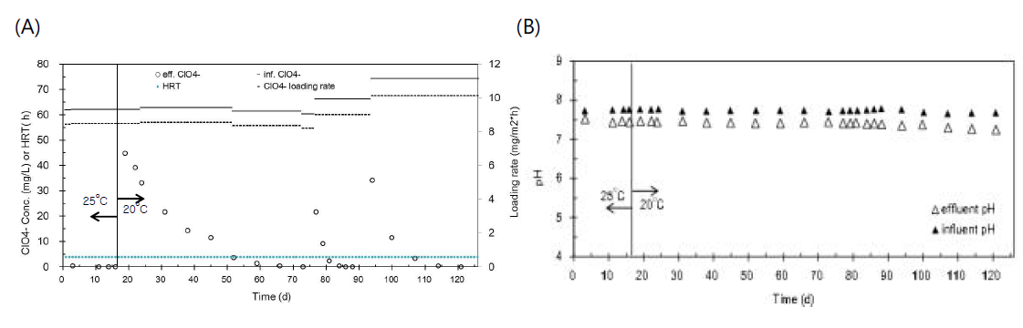 Temperature effect on the reactor performance. (A) Perchlorate concentrations of influent and effluent at HRT = 3.81 h. (B) pH of influent and effluent. 0 time is arbitrary to show the effect of temperature decrease during stable state of the reactor