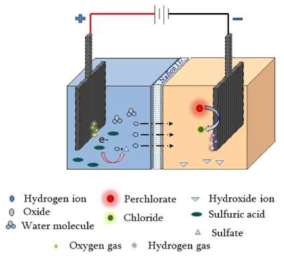 Experimental cell setup of electrochemical reduction of perchlorate