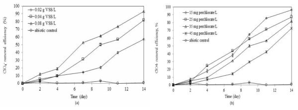Effects of a) biomass, and b) initial perchlorate concentration on perchlorate reduction by salt tolerant sulfur oxidizing enrichment culture
