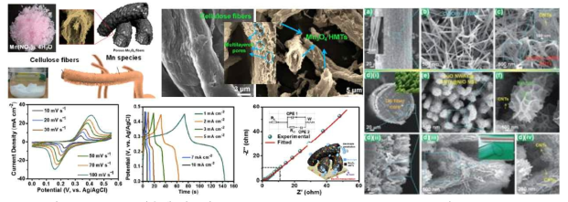 Cellulose 섬유에 다공성 Mn3O4 hollow microtubes (Mn3O4 HMT) 및 forest-like NiO NSs@CNTs@CuO NWAs/Cu fibers 금속산화물 증착 및 에너지저장 전기화학적 특성 분석