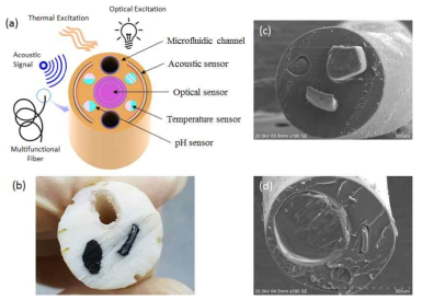 (a) Multifunctional 섬유탐침에 대한 개략도. 단일 섬유는 광학, 온도, 음향, 및 pH 감지기를 구비하고 있으며, Microfluidic channel도 있어서 약물전달도 가능, (b) 다기능 섬유 탐침 제작을 위한 Macroscopic Preform의 단면, (c) & (d) 다기능 탐침용 섬유의 단면 SEM 사진