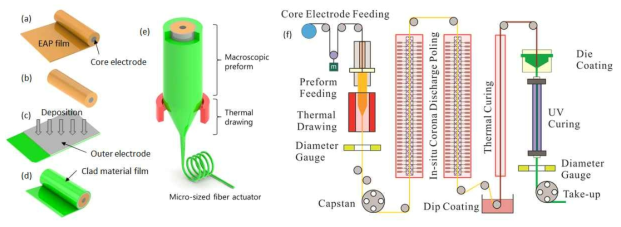 EAP 섬유 구동기를 제작하는 절차: (a)-(d) 섬유구동기를 제작하기 위한 Preform의 제조 공정. (e) Thermal Drawing 공정에 대한 모식도. (f) Fiber Thermal Drawing & Post Treatment Process
