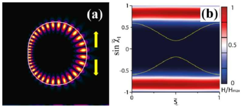 리마손 모양의 공진기의 TM whispering gallery 모드의 Husimi function plot