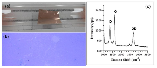 (a) Photograph of copper foil placement while doing CVD growth, (b) Optical microscopy image, and (c) Raman spectrum of graphene monolayers grown on SiO2/Si substrate using copper foil as a catalyst