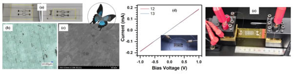 Graphene based flexible devices: (a) Photograph of graphene monolayers transferred transparent flexible sheets, (b and c) Raman and FESEM images of graphene monolayers over flexible sheets, (d) Current-voltage characteristics of graphene monolayers on flexible sheets, and (e) Photograph of mechanical bending systems loaded with graphene based flexible device