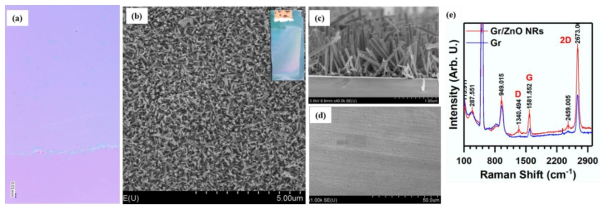 ZnO nanorods grown graphene monolayers: (a) Optical microscopic image of graphene layer transferred on to SiO2/Si substrate, (b-d) FESEM images ZnO nanorods grown graphene layers, and (e) Raman spectra of pristine and nanostructures grown graphene monolayers