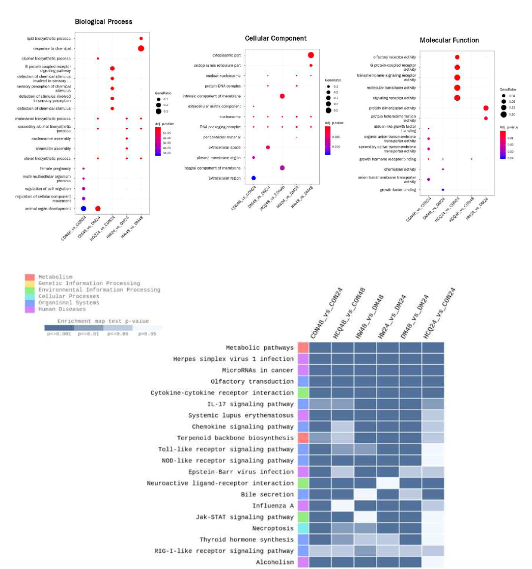 microarray 분석을 통하여 일차영양막세포의 분화 및 억제, HCQ 처리로 영향을 받는 molecular pathway 확인