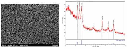 합성된 ZnO nanoparticles 의 전자현미경 사진과 XRD 결과