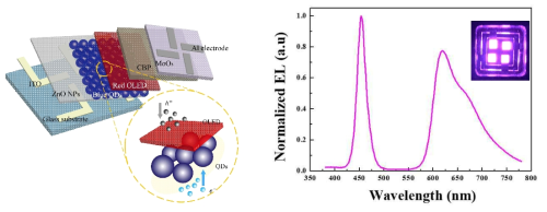 inverted 구조 QD-OLED hybrid EL 소자 구조와 파장 그래프