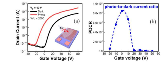 (a) light on/off에 따른 전류 변화. (b) photo-to-dark current ratio 비율