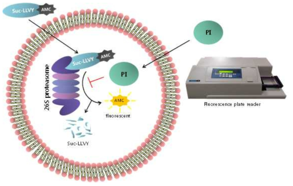 CPIA assay