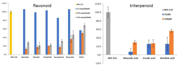 Flavonoid계 물질과 triterpenoid계 물질의 proteasome 저해도