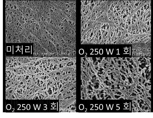 플라즈마 처리 횟수에 따른 SEM이미지