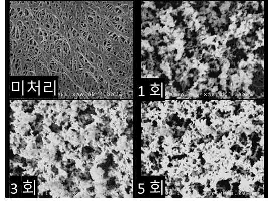 Thiophene 플라즈마 처리 횟수에 따른 SEM 이미지