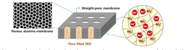 다공성 막을 이용한 IEM 제조, Pore-filled 이온교환막