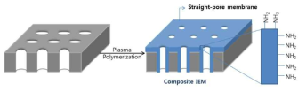 다공성 막을 이용한 IEM 제조, 복합재료 이온교환막
