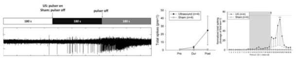 초음파자극에 대한 신경세포 반응성 실험