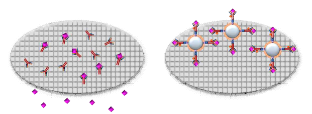 (A) 항체만 흡착시키는 경우, (B) SiMB complex를 제작하여 흡착시키는 경우