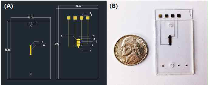 (A) 상판(좌) 및 하판(우) 마스크 제작을 위한 CAD design (B) 상판과 하판이 부착된 최종 chip